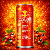 Red Bull Plus Sugar Free 250ml - Guarana - Amaiav3